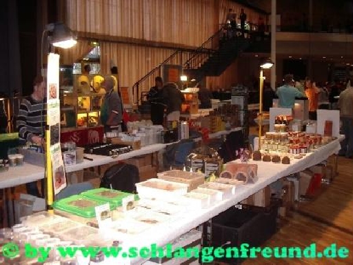 2007-03-31Karlsruhe