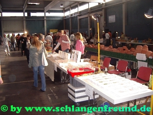 2007-10-06Ulm