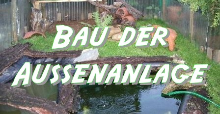 Bau der Außenanlage