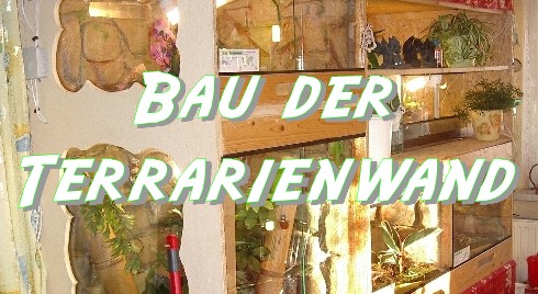 Entstehung der Terrarienwand