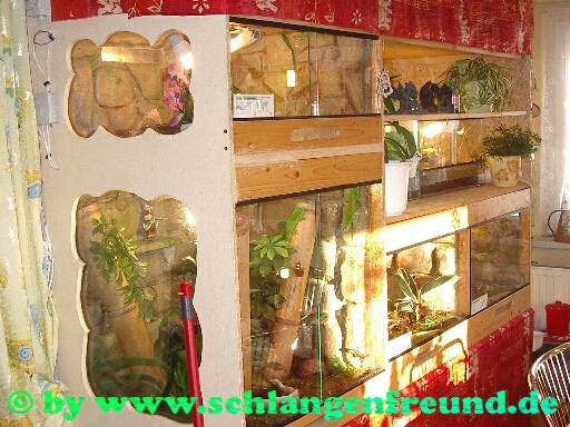 Terrarienwand